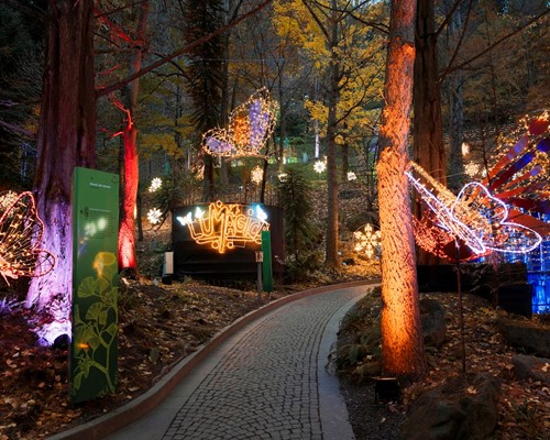 LUMAGICA A MERANO