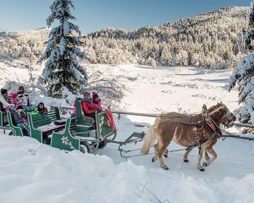 ANDALO CON GIRO IN CARROZZA TRAINATA DA CAVALLI