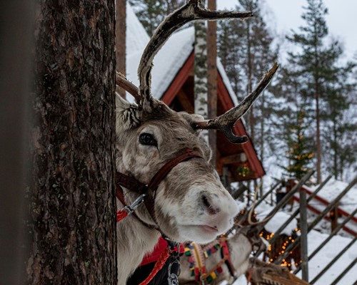 S. AMBROGIO A ROVANIEMI